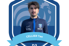 TROMBINOSCOPE ARBITRES - D3 - CELLIER Tao