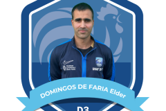 TROMBINOSCOPE ARBITRES - D3 - DOMINGOS DE FARIA Elder