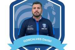 TROMBINOSCOPE ARBITRES - D3 - GONCALVES Daniel