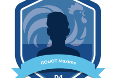 TROMBINOSCOPE ARBITRES - D4 - GOUOT Maxime