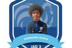 TROMBINOSCOPE ARBITRES - JAD 3 - HAMMADI Amine