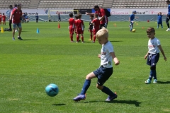 P1035599