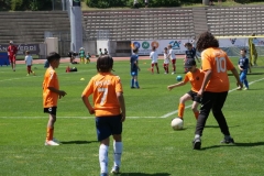 P1035600