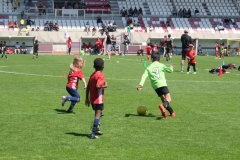 P1035680