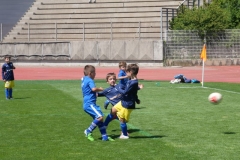 P1035688