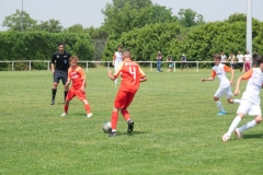 P1035759