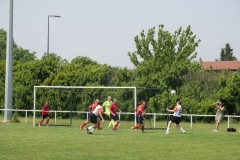 P1035860